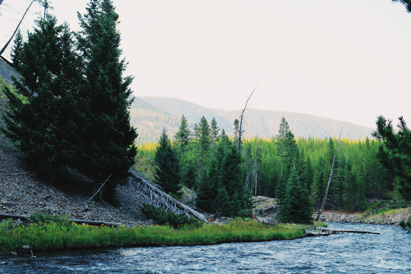 Illustration for article titled Photodump: Yellowstone National Park